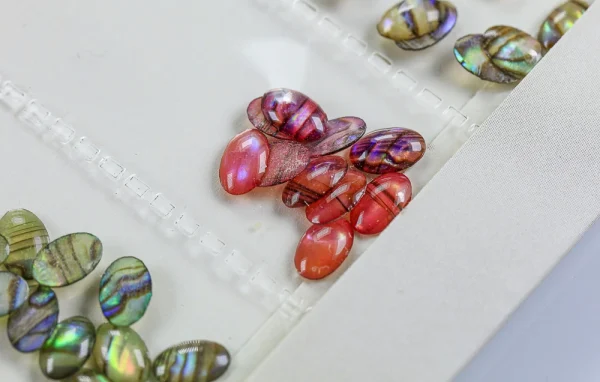 20160- PIEDRA SHELL CONFETI - Image 3