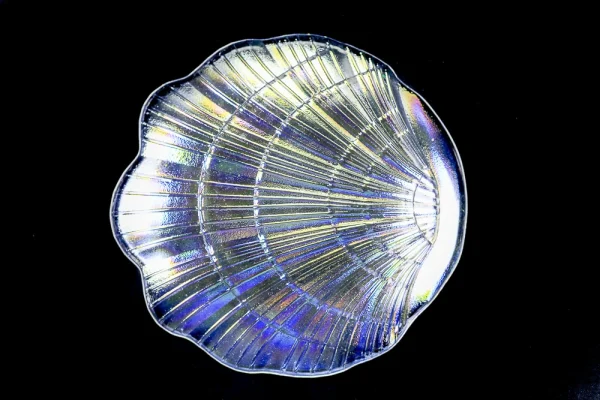 20194- PLATO VIDRIO SHELL - Image 2