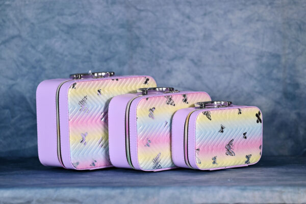78015-527 COFRE X3 DEGRADE MARIPOSA